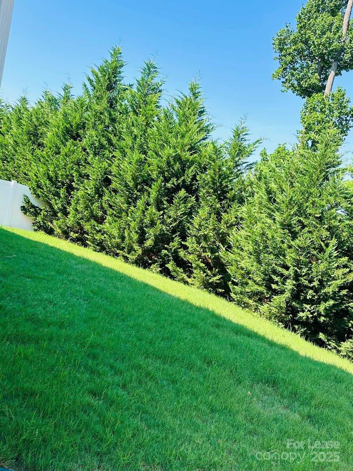 Forest Grove - Residential Lease