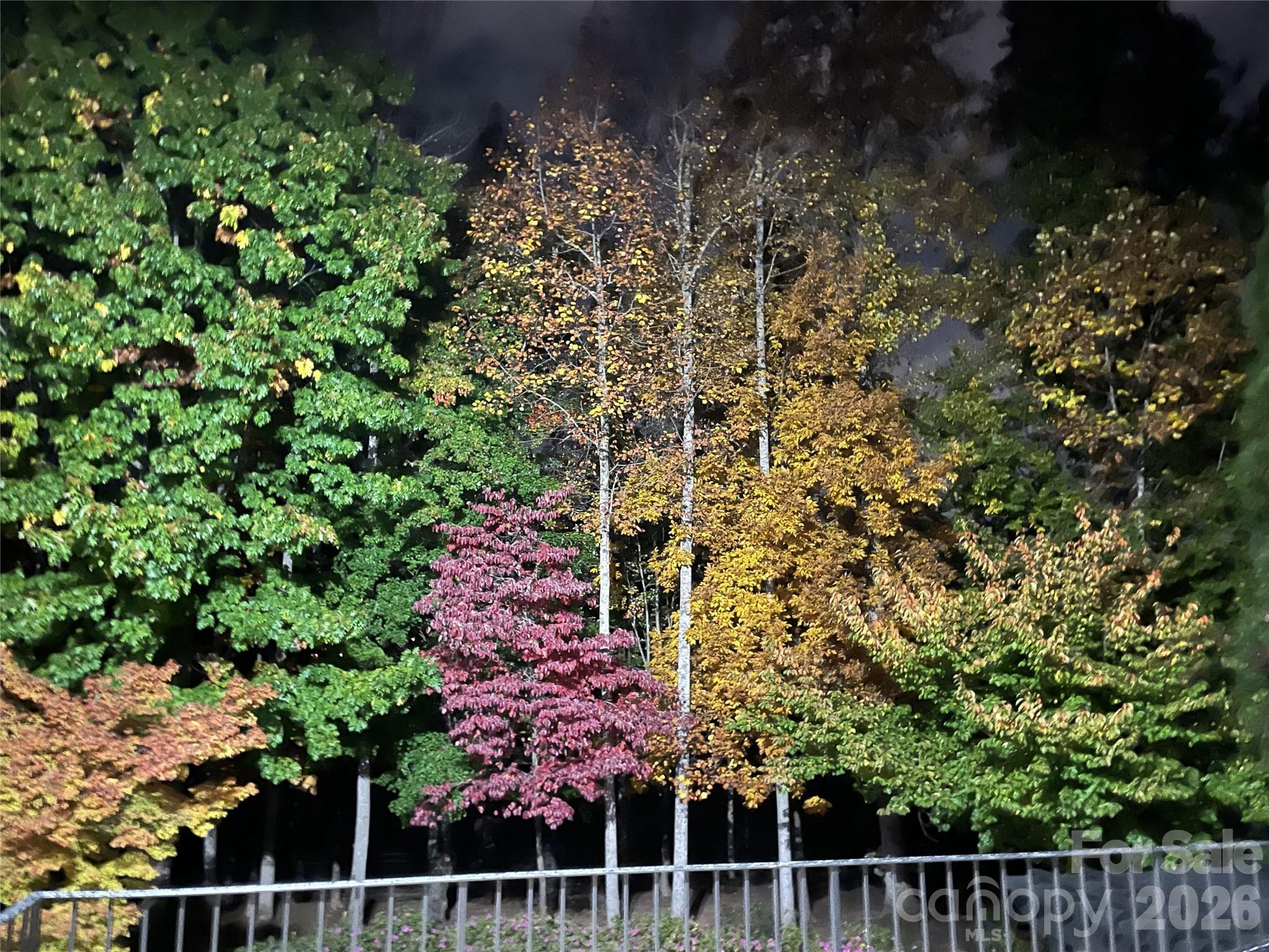 Ballantyne Country Club - Residential