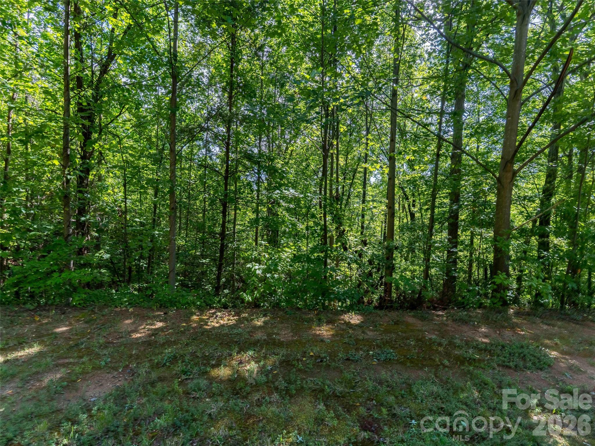 0 Anthony Court 2070