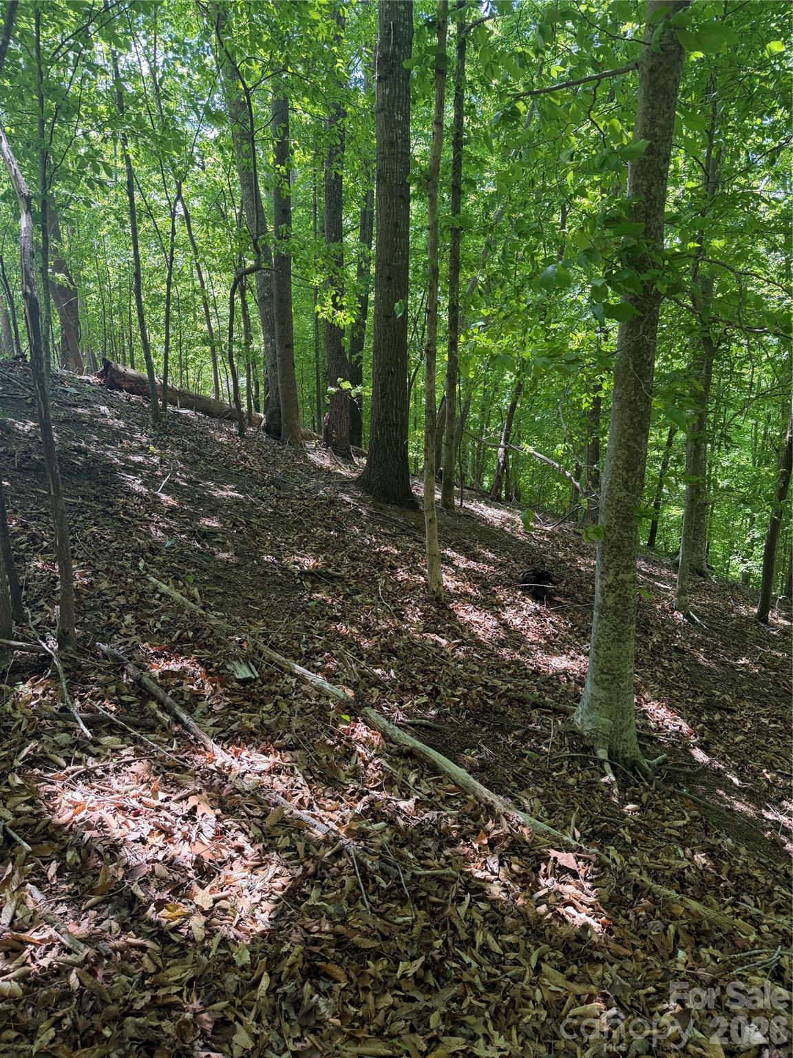 Clearwater Creek - Land