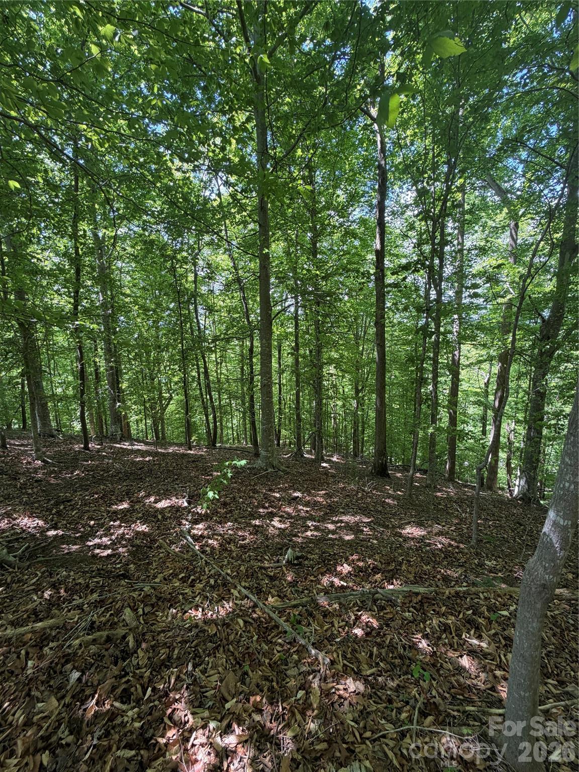 Clearwater Creek - Land