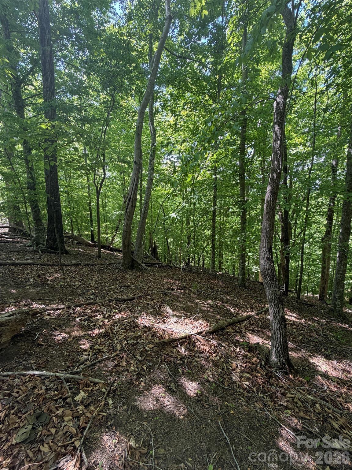 Clearwater Creek - Land