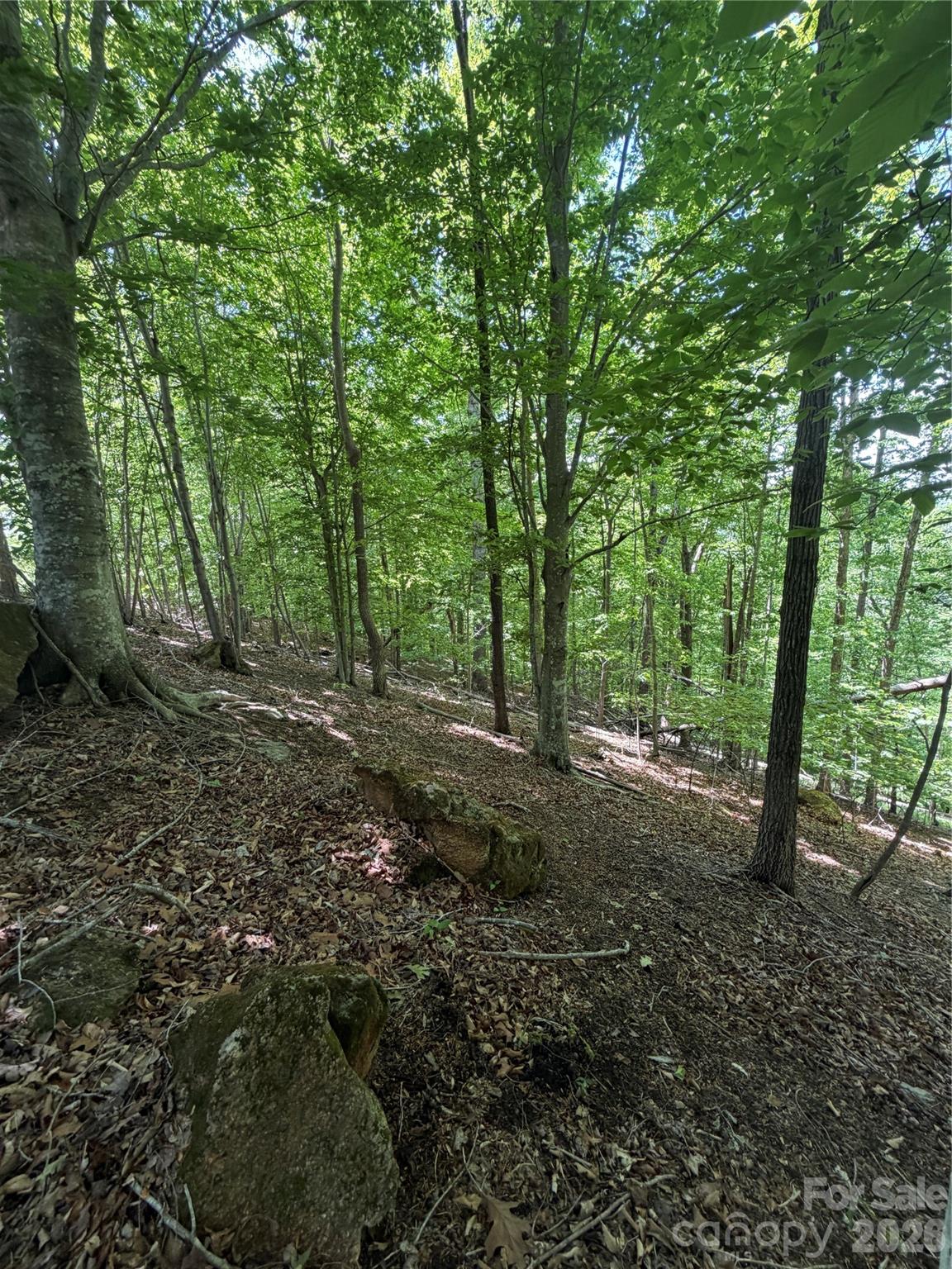 Clearwater Creek - Land