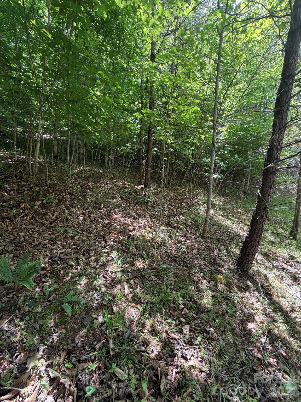 0 Creekside Circle 135