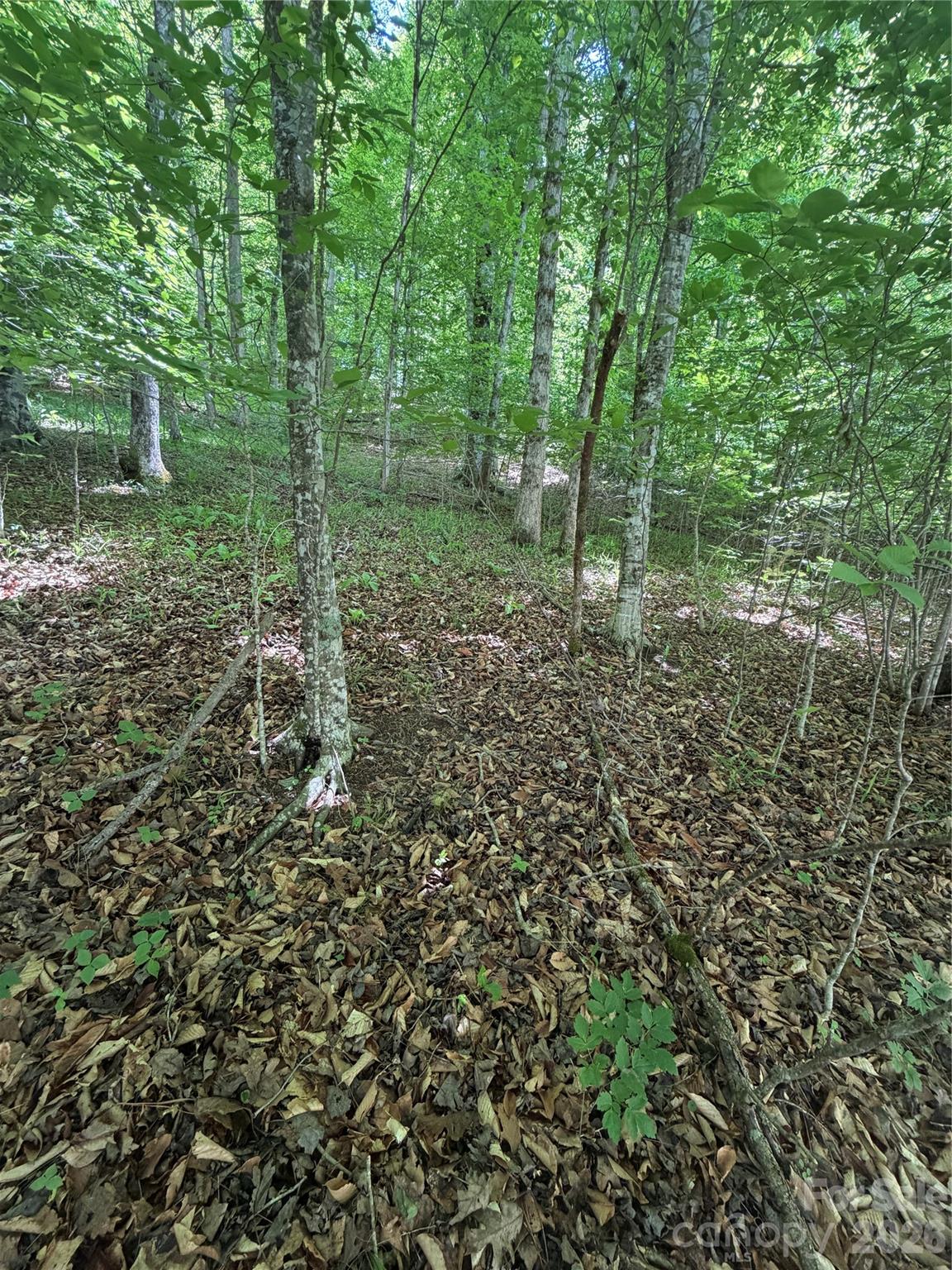 0 Creekside Circle 135