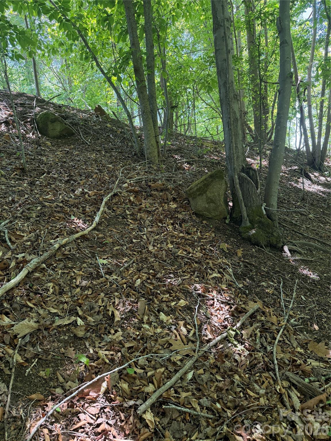 Clearwater Creek - Land