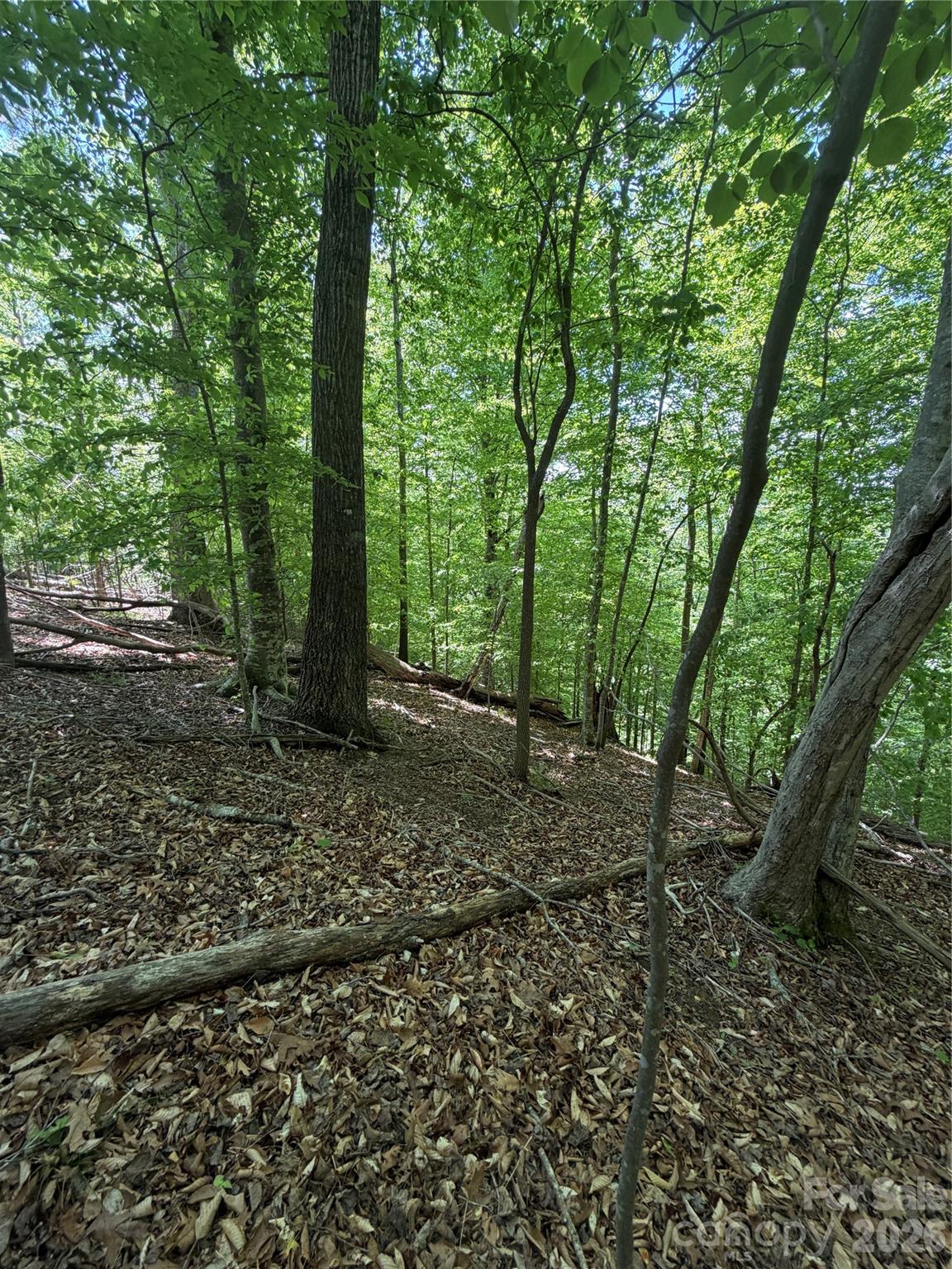 Clearwater Creek - Land