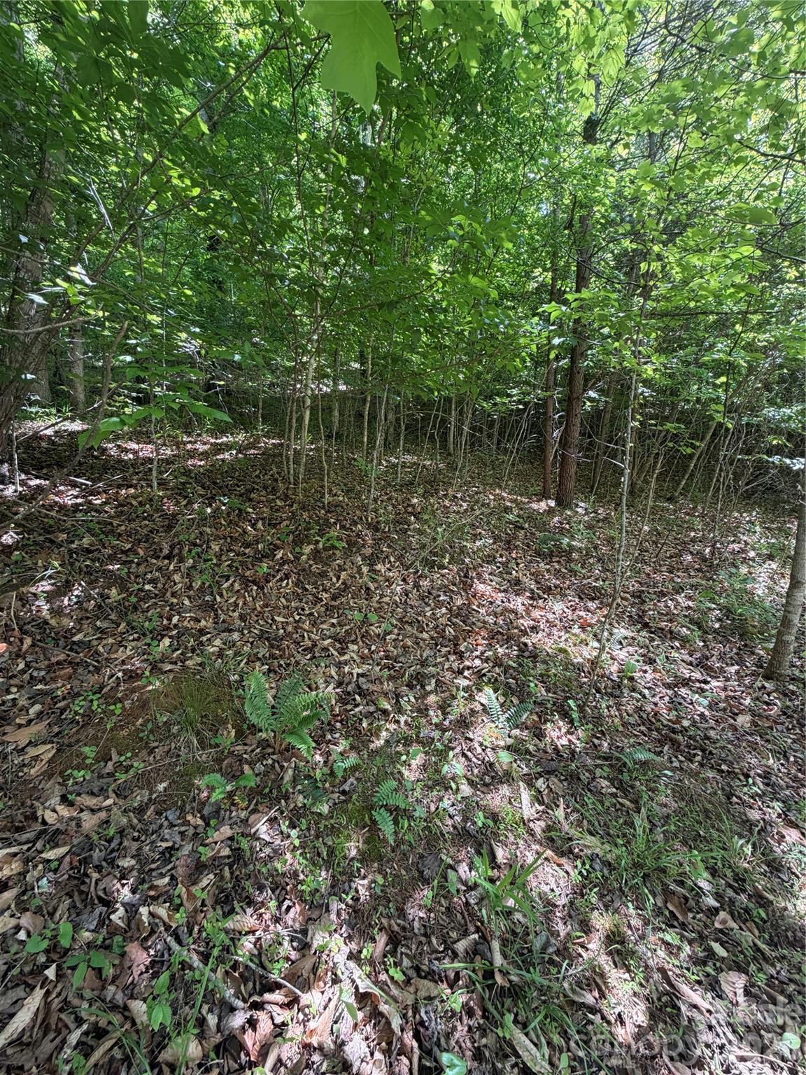 0 Creekside Circle 135