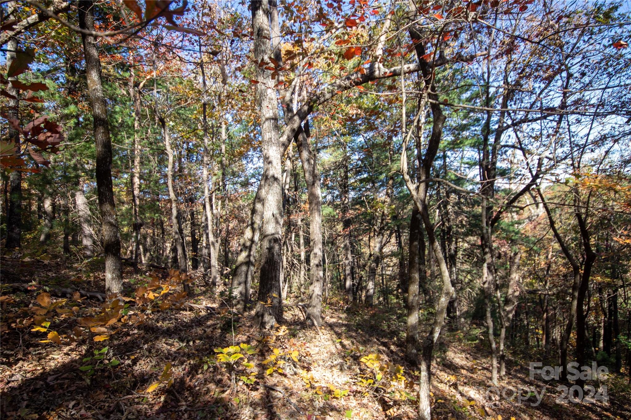 Pine Mountain Lakes - Land