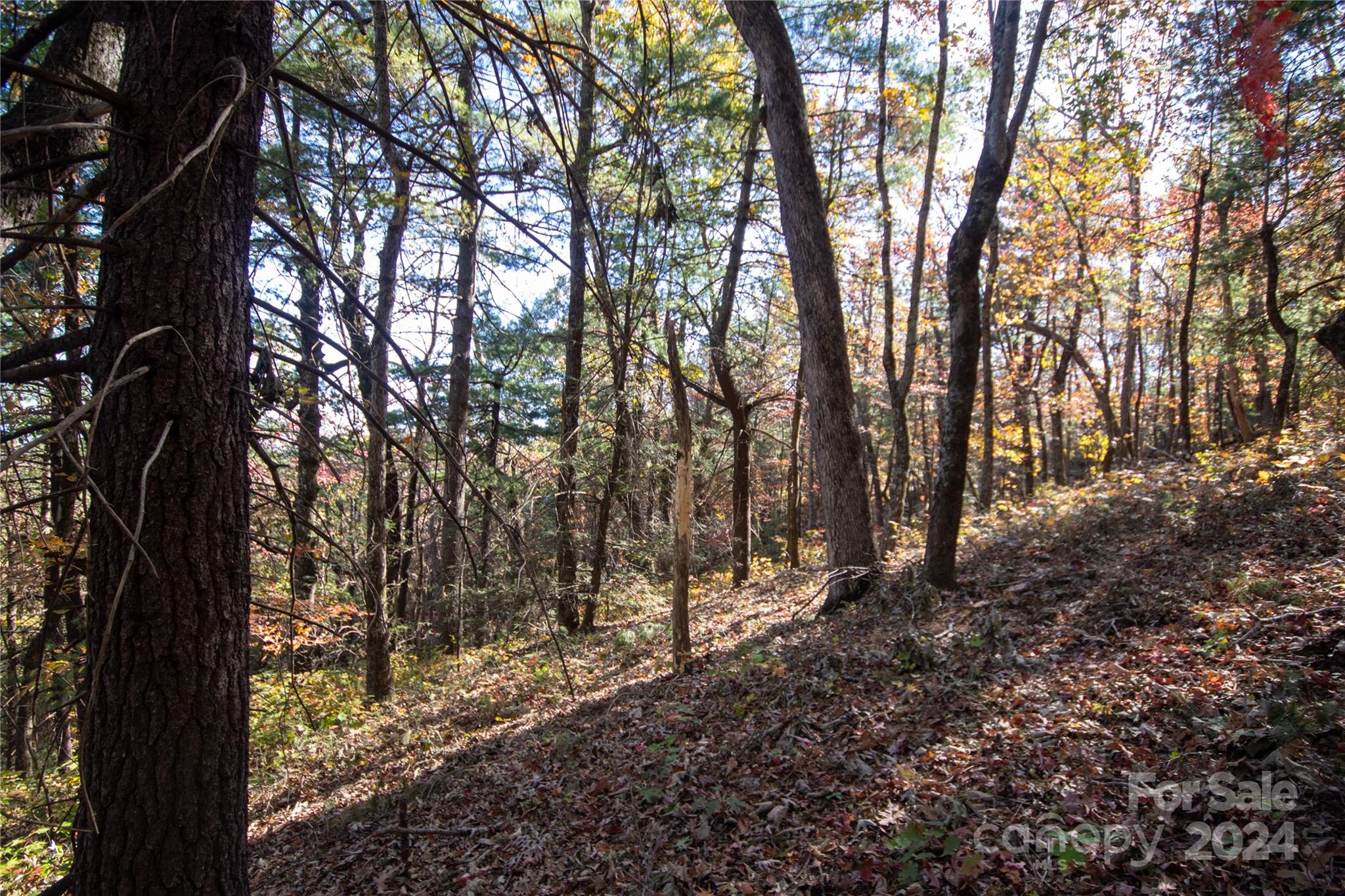 Pine Mountain Lakes - Land