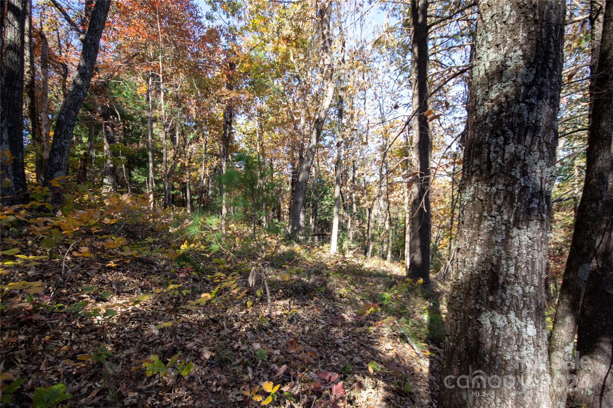 Pine Mountain Lakes - Land