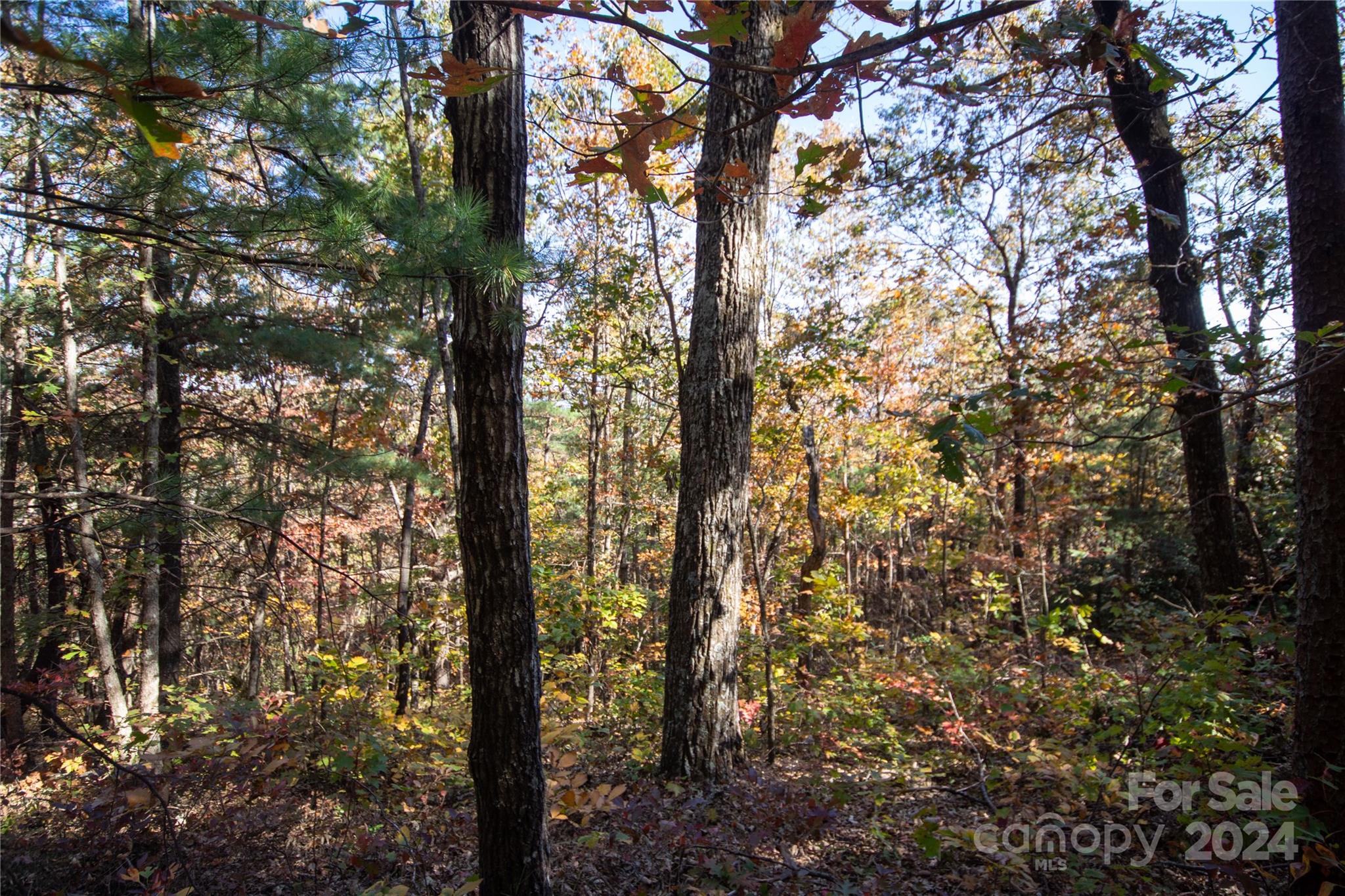 Pine Mountain Lakes - Land