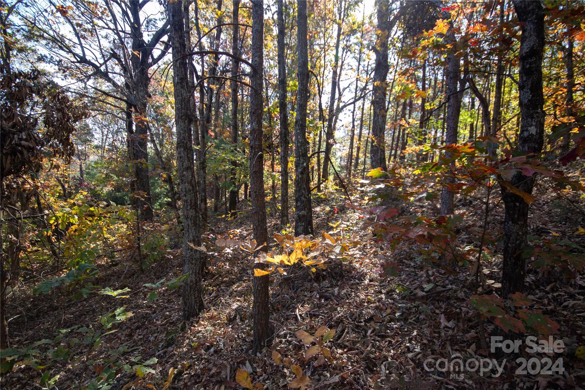 Pine Mountain Lakes - Land