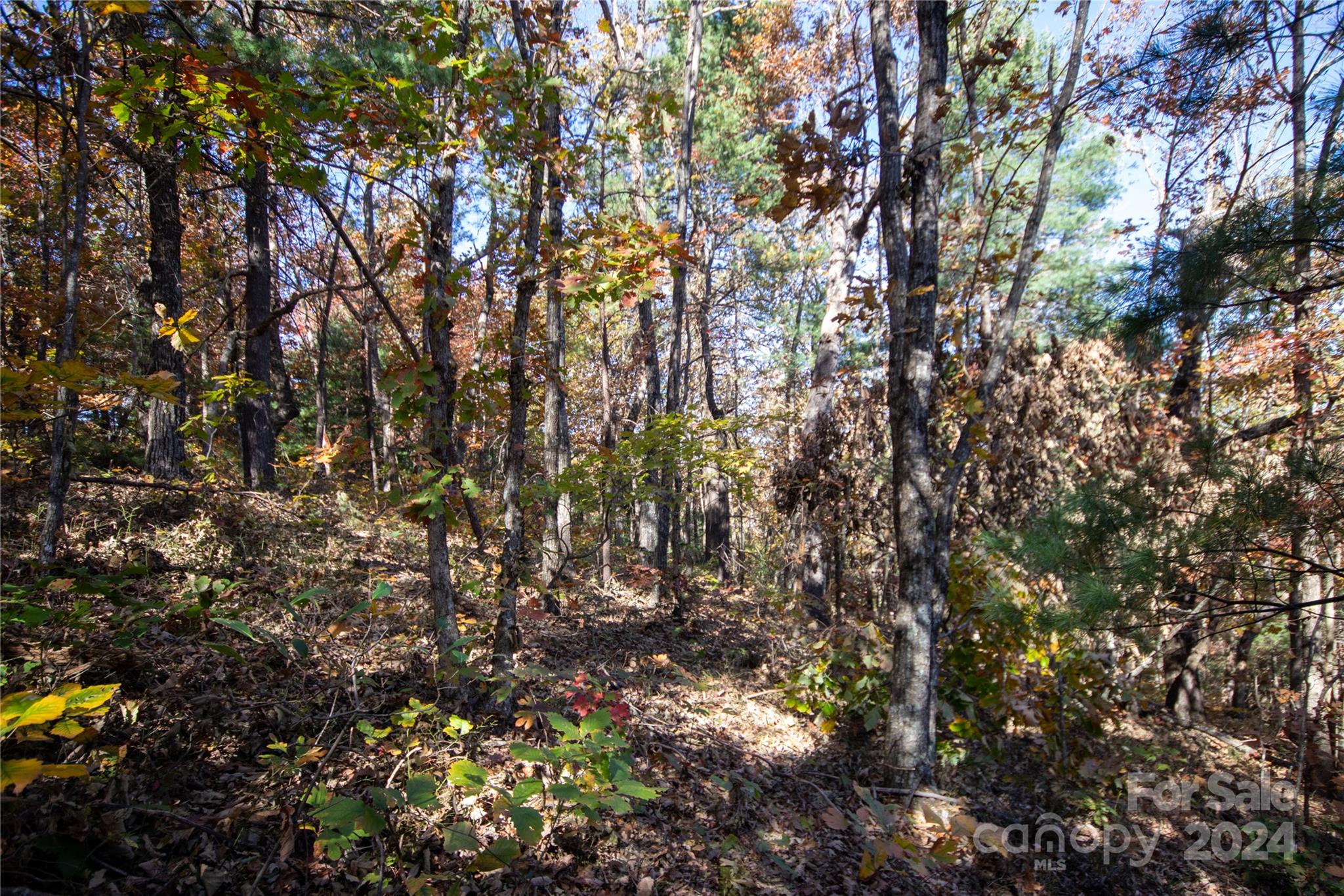 Pine Mountain Lakes - Land