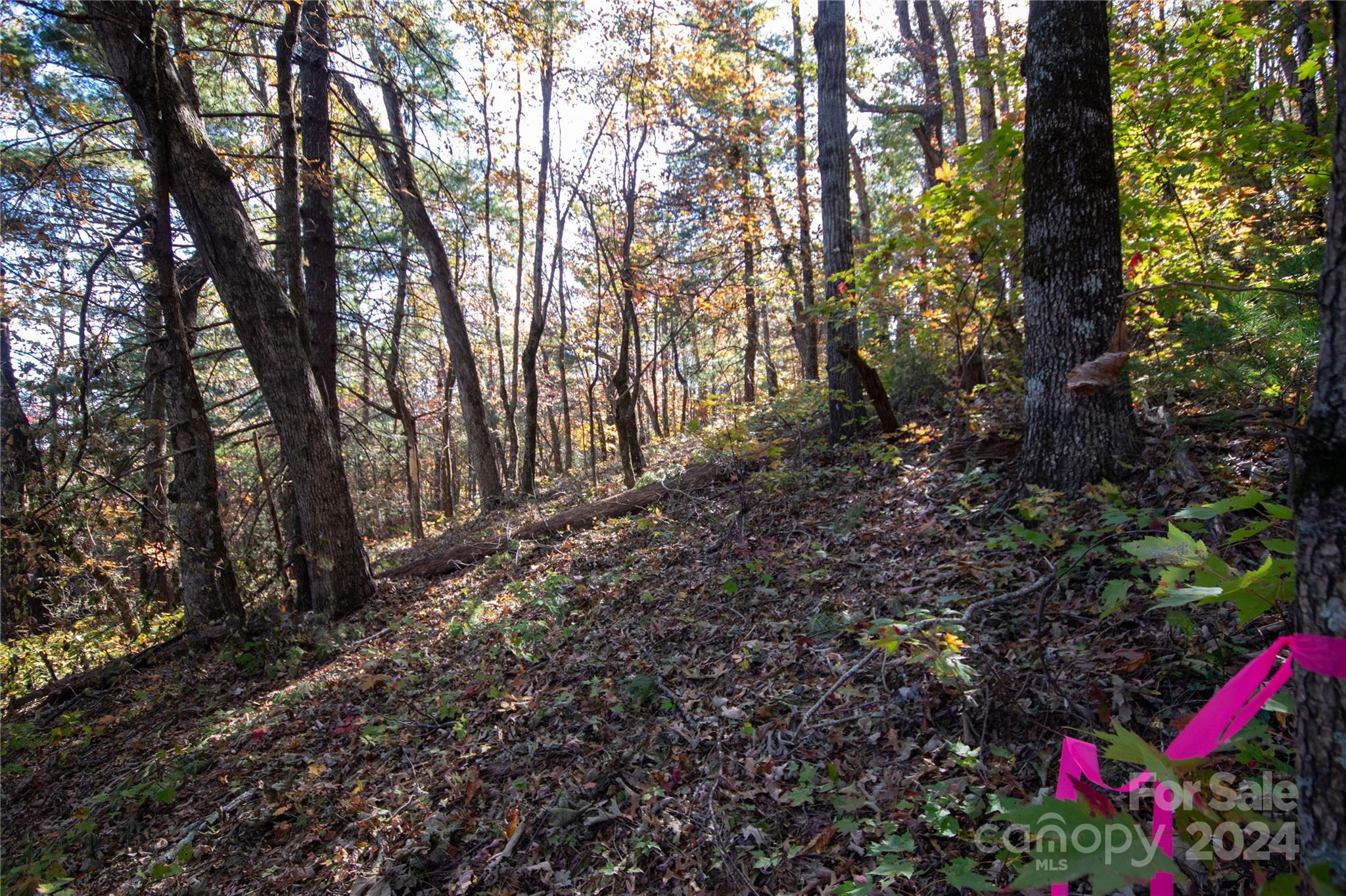 Pine Mountain Lakes - Land