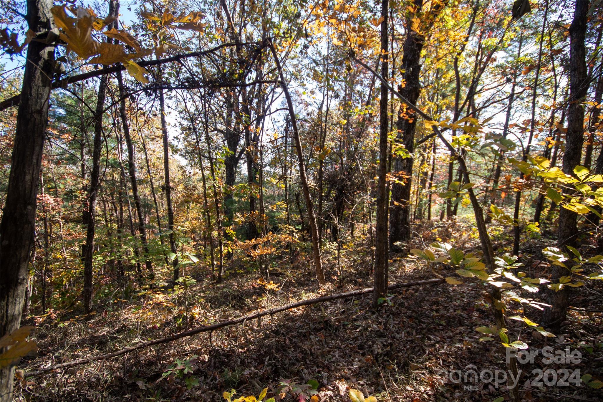 Pine Mountain Lakes - Land