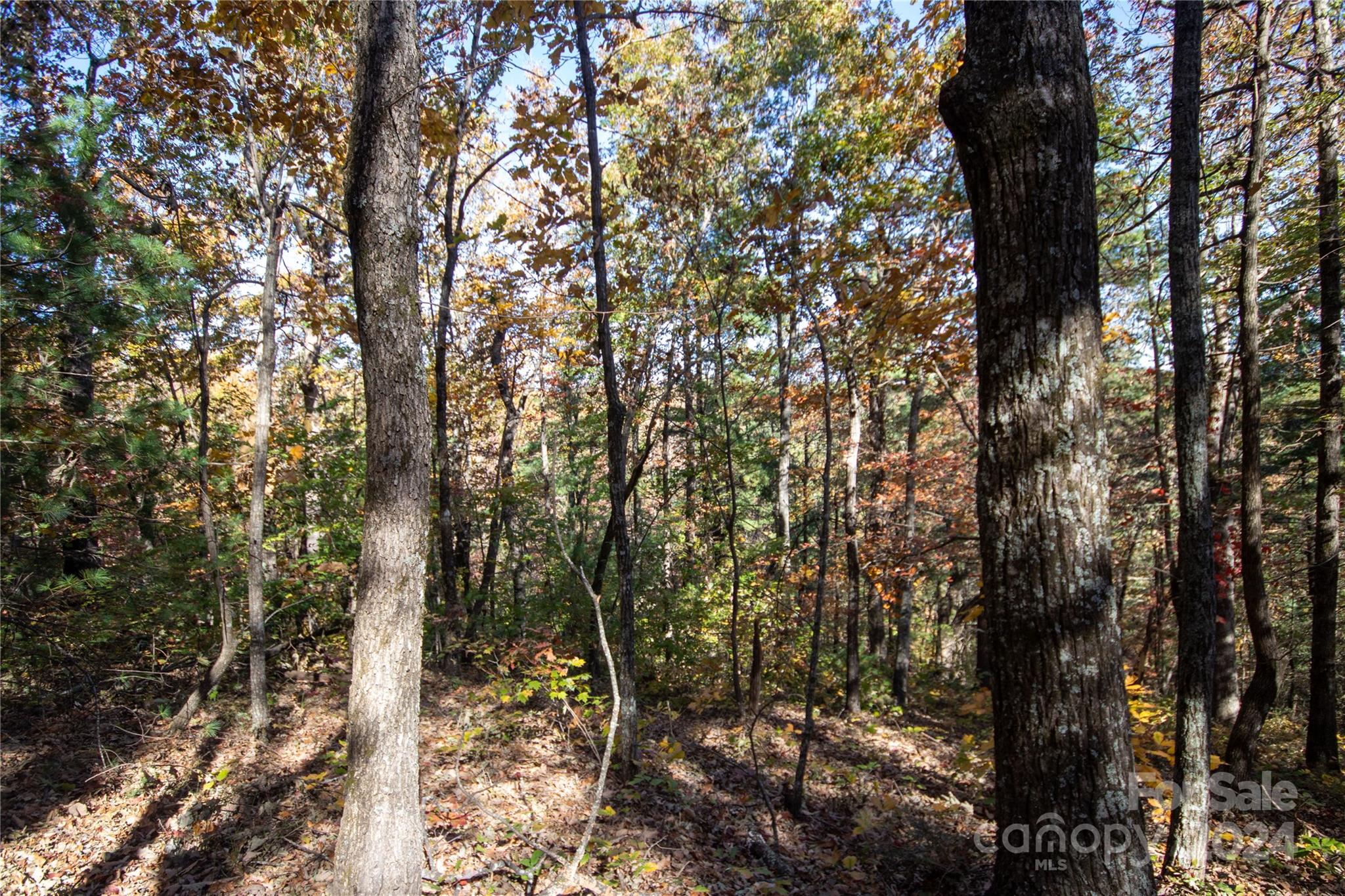 Pine Mountain Lakes - Land