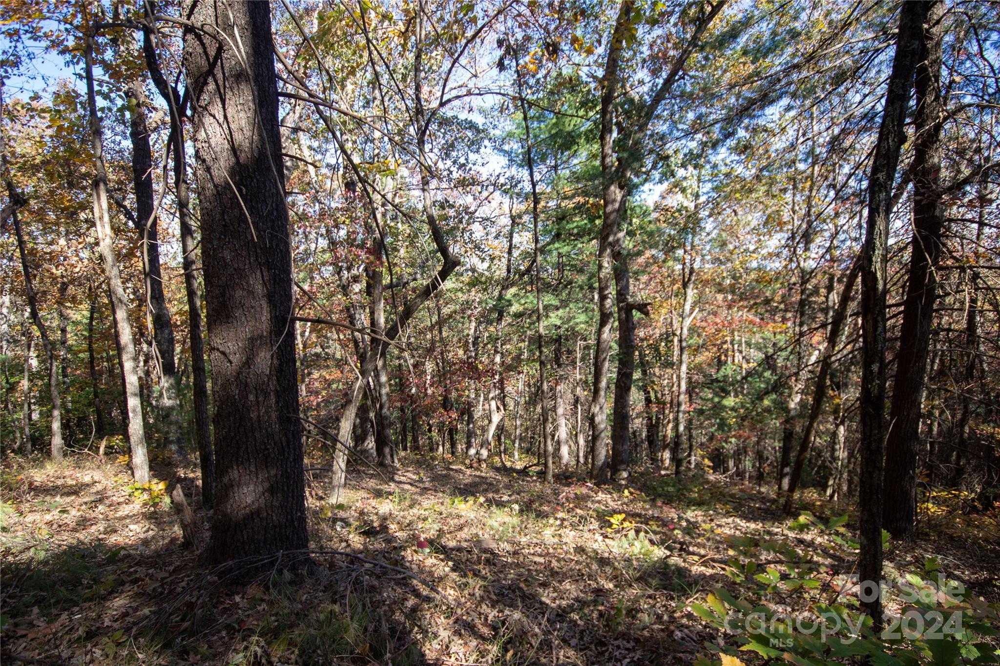 Pine Mountain Lakes - Land