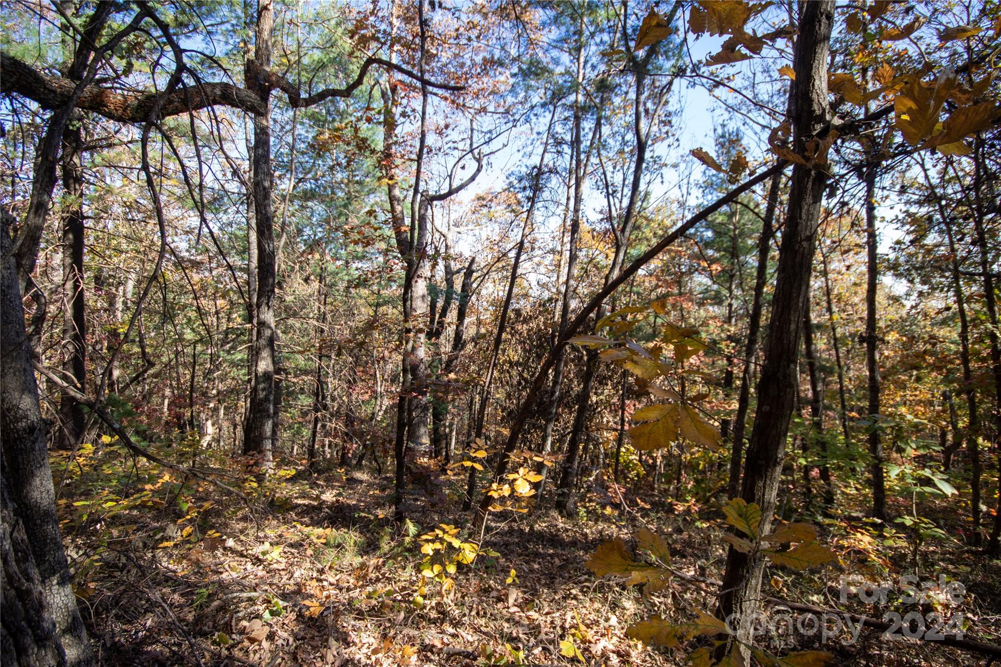 Pine Mountain Lakes - Land