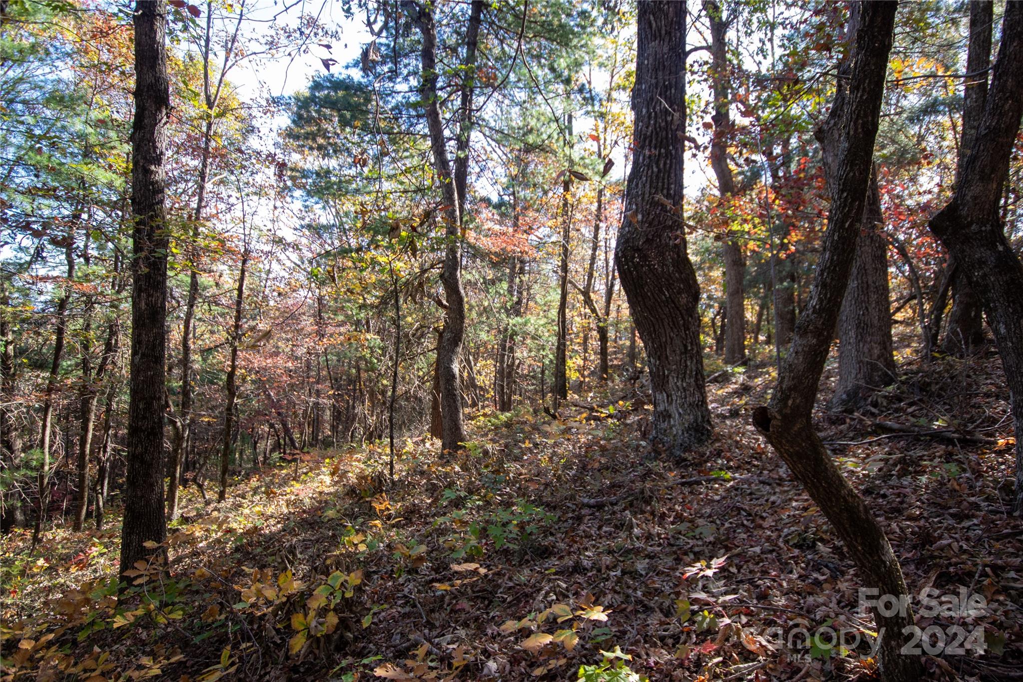 Pine Mountain Lakes - Land