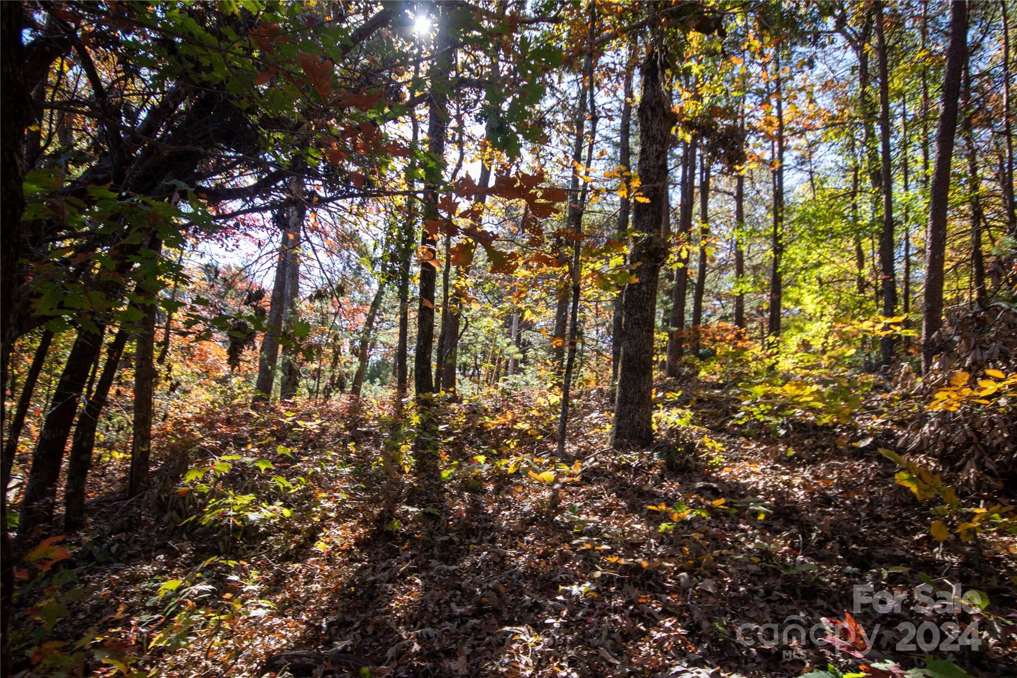 Pine Mountain Lakes - Land