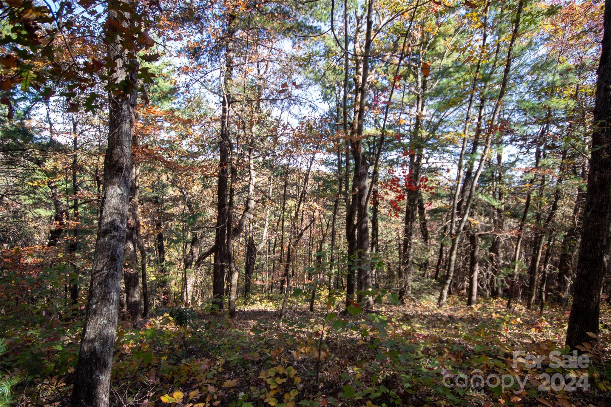 Pine Mountain Lakes - Land