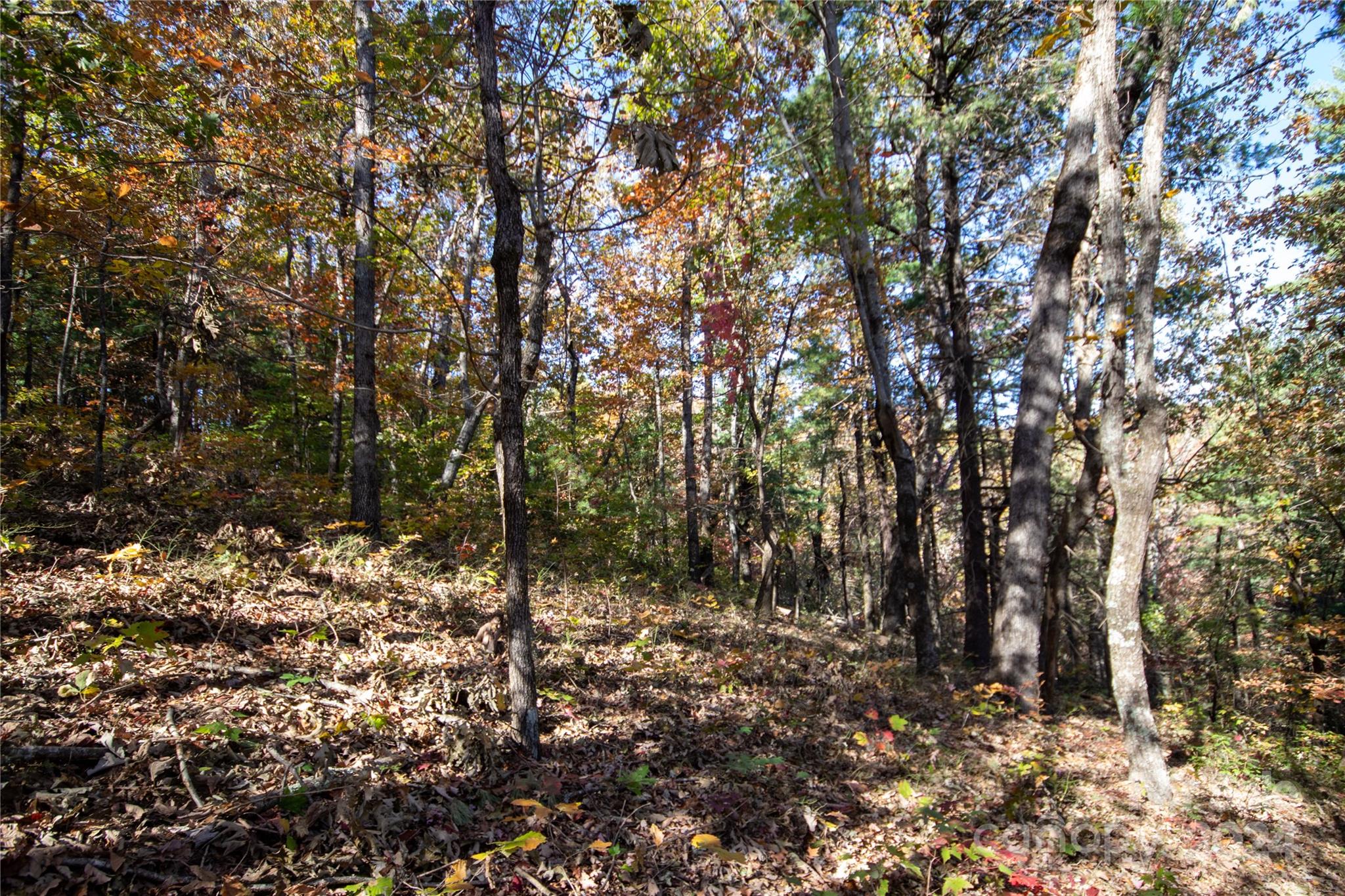 Pine Mountain Lakes - Land