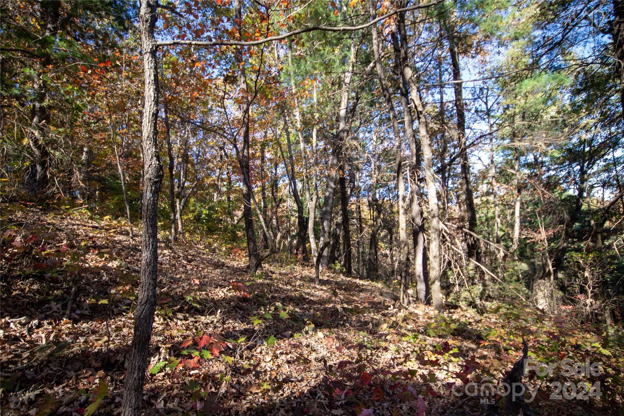 Pine Mountain Lakes - Land