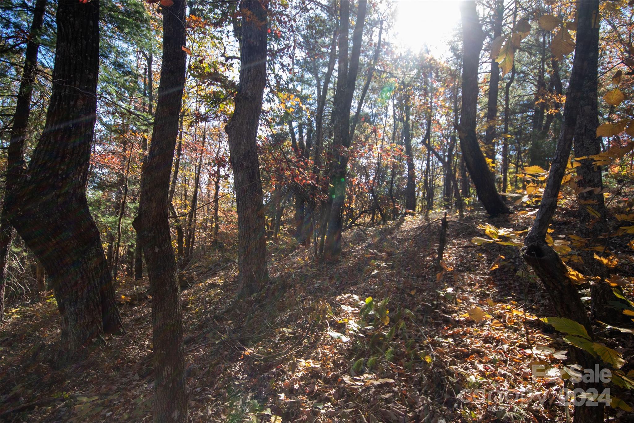 Pine Mountain Lakes - Land