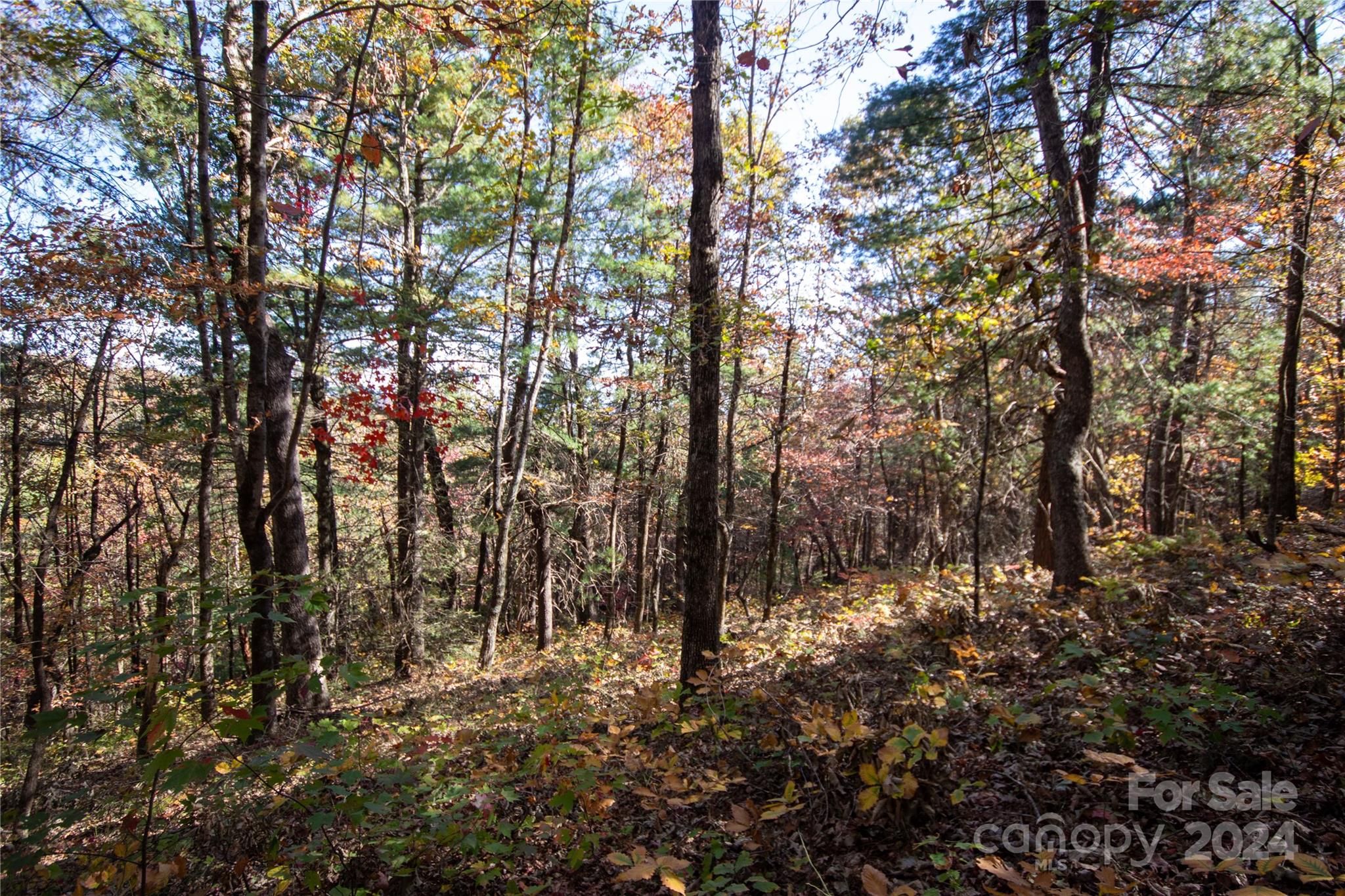 Pine Mountain Lakes - Land