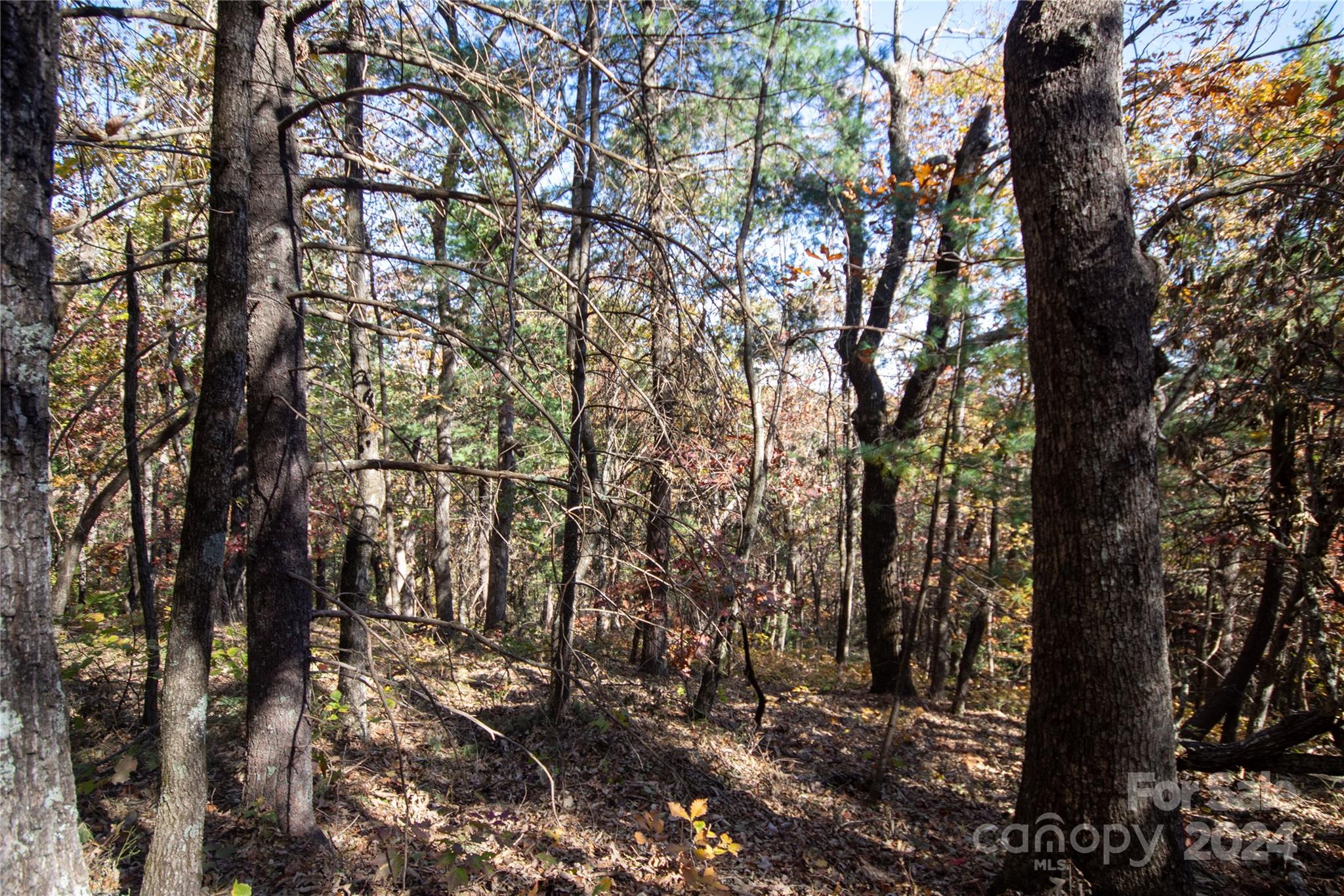 Pine Mountain Lakes - Land
