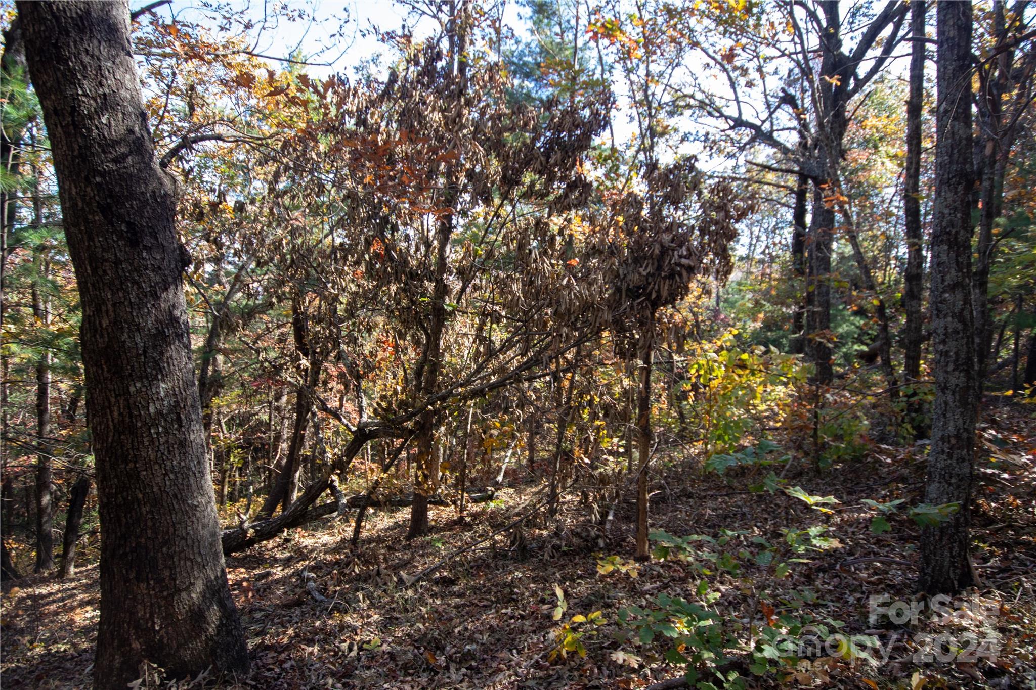 Pine Mountain Lakes - Land