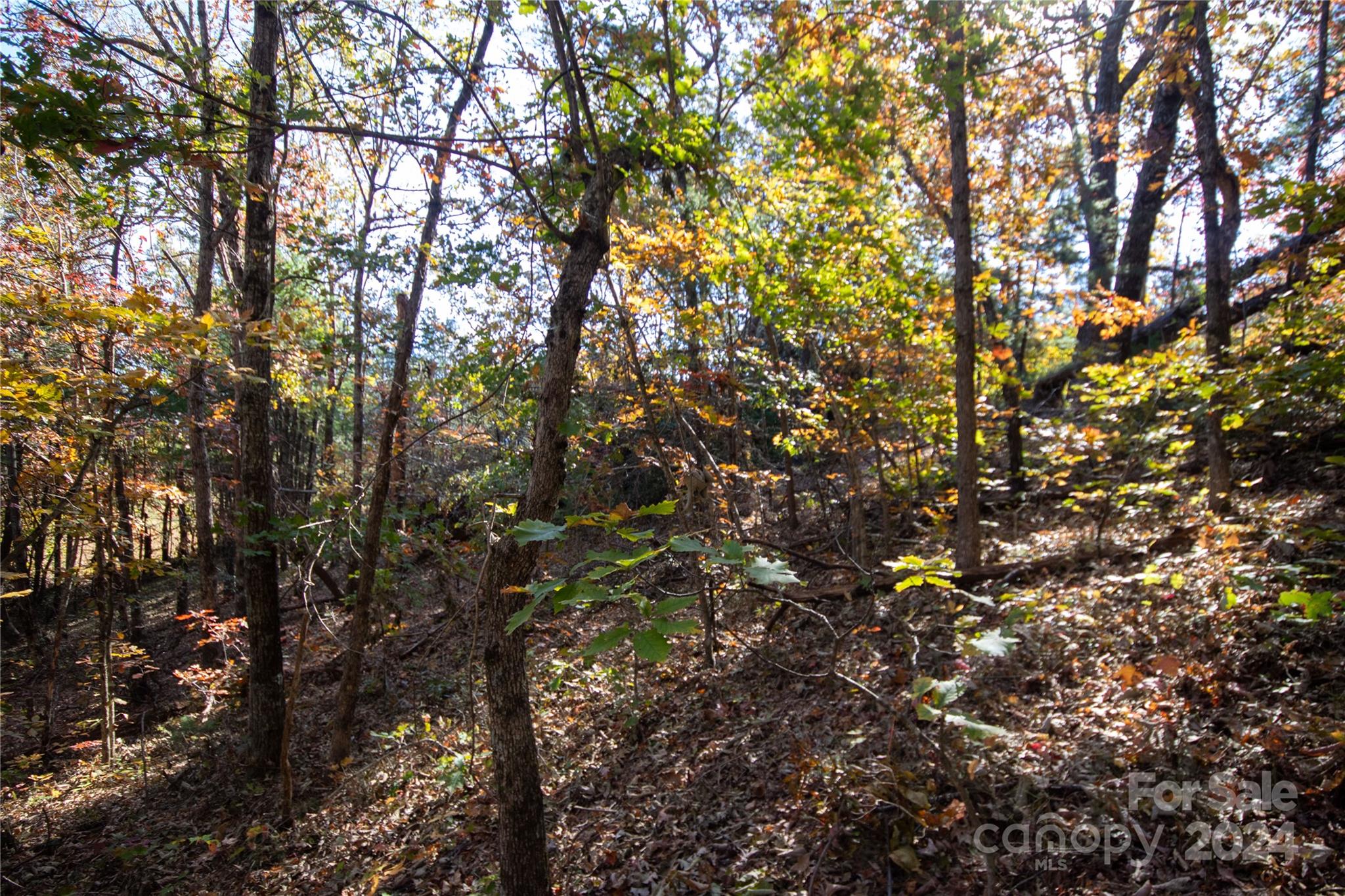 Pine Mountain Lakes - Land