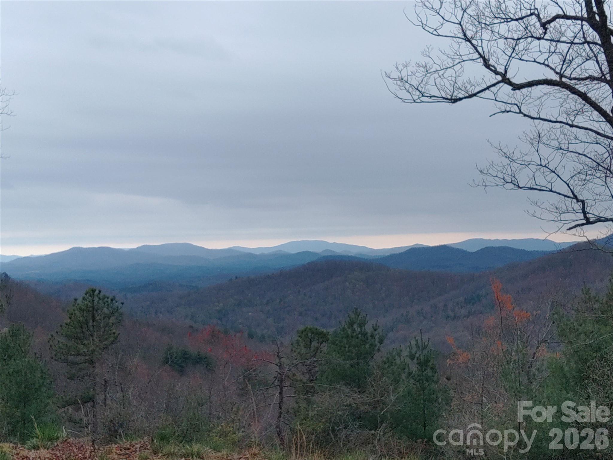 92 Mountain Magnolia Drive