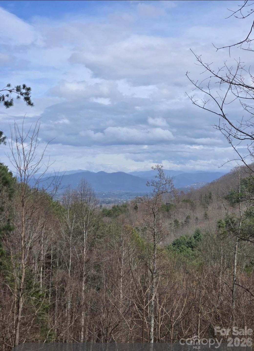 92 Mountain Magnolia Drive