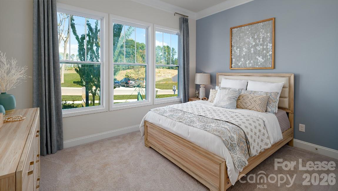 Avondale - Residential Lease