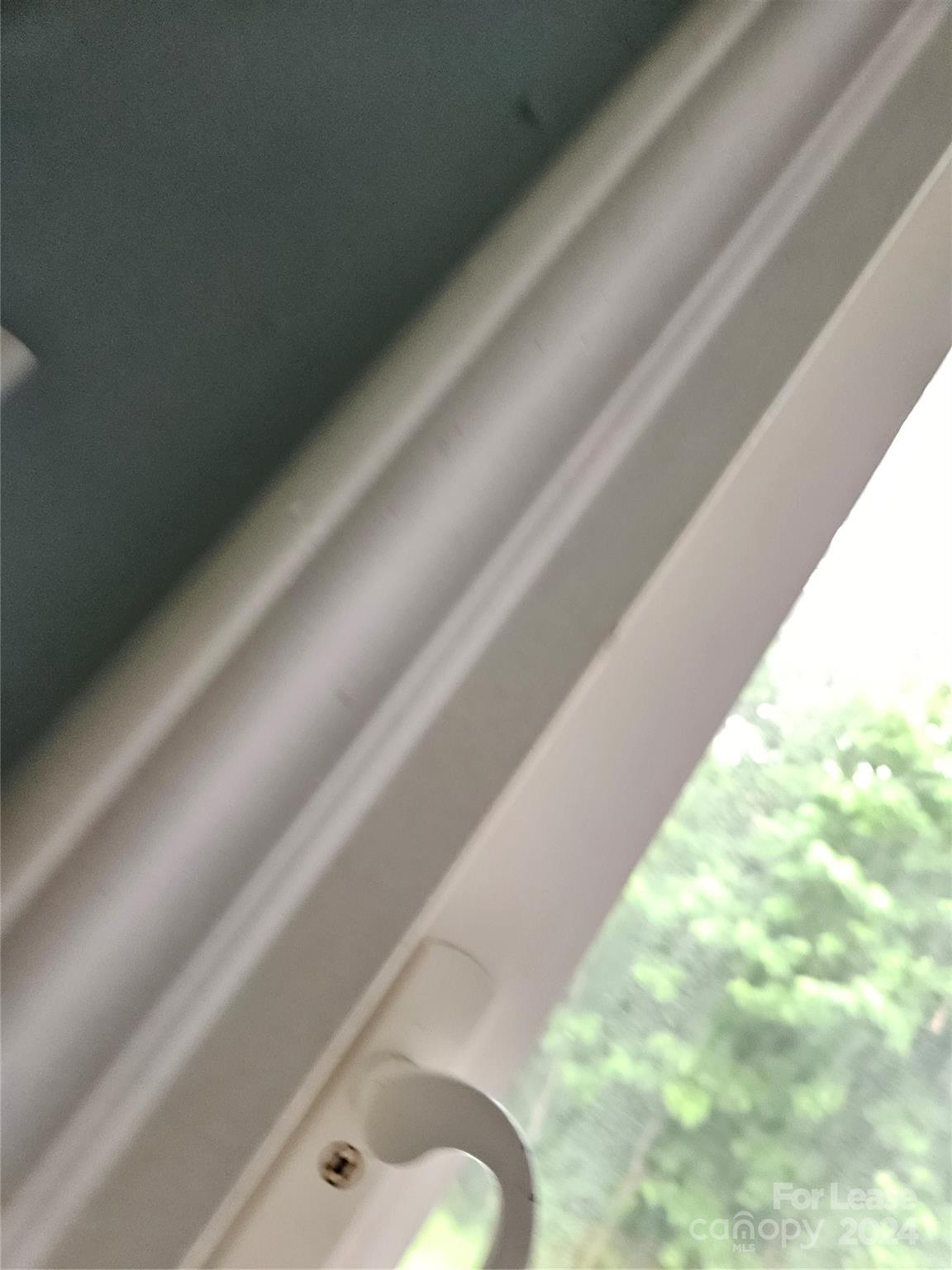 Mallard Woods - Residential Lease