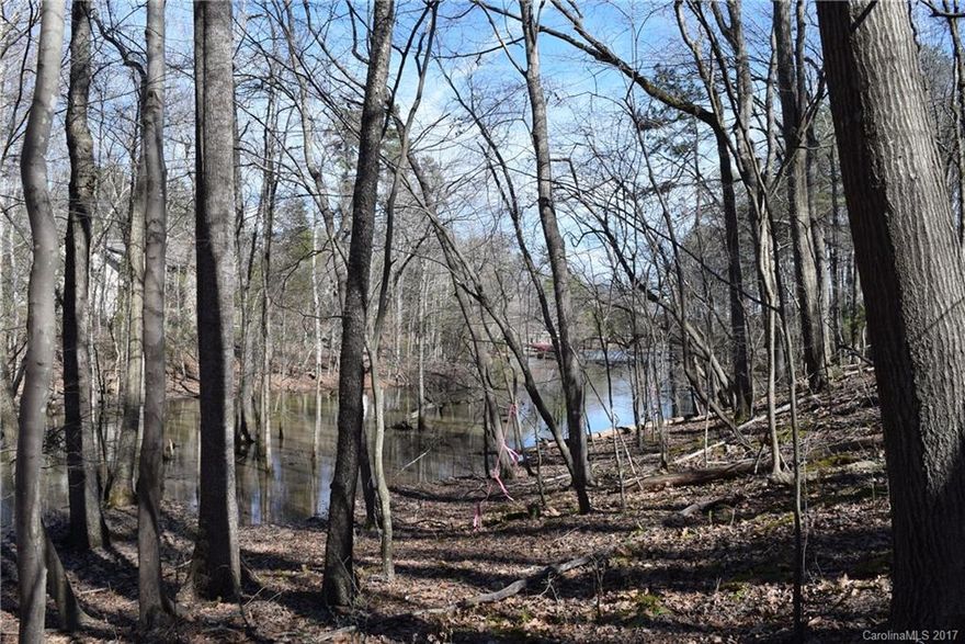 Waterfront home site in prime location in Lake Wylie!  Approx 1.8 acre wooded lot with canoe access to Lake Wylie.  Short inlet opening to the main channel. Use your own builder or one of ours for your custom lakefront home. No HOA fees, lots of privacy.  Get away from it all, yet live close to shopping, excellent Clover schools, and easy commute to Charlotte.