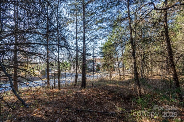 CHINA GROVE HWY, ROCKWELL, NC 28138 - Image 86dcc5ae3f5cccfd266d028a8bdd28d2/3699392537