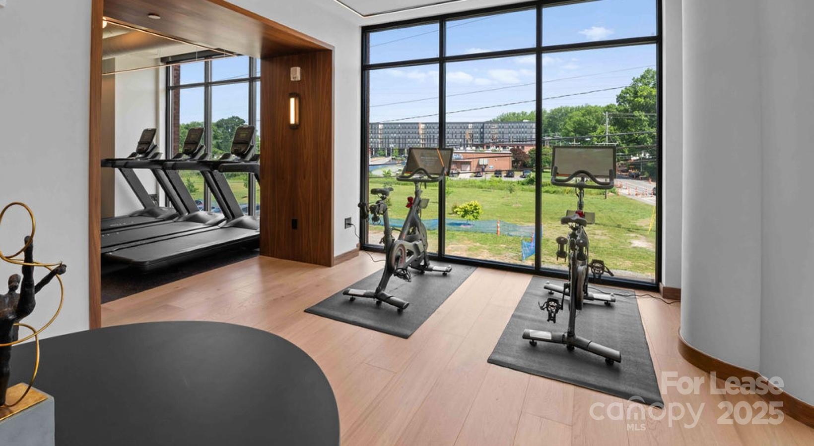 Charlotte, North Carolina 28206, United States, 1 Bedroom Bedrooms, ,1 BathroomBathrooms,Residential,Active,129528