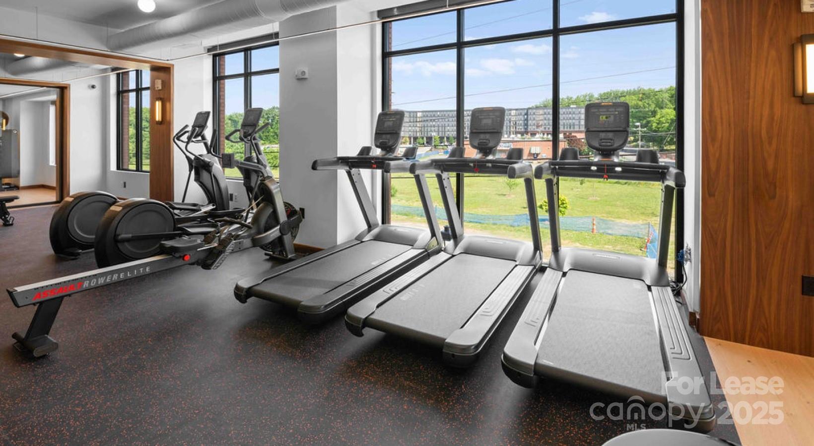 Charlotte, North Carolina 28206, United States, 1 Bedroom Bedrooms, ,1 BathroomBathrooms,Residential,Active,129528