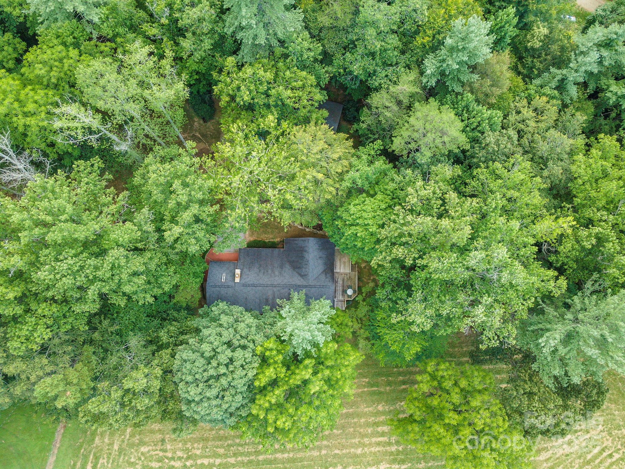 290 Patton Hill Road