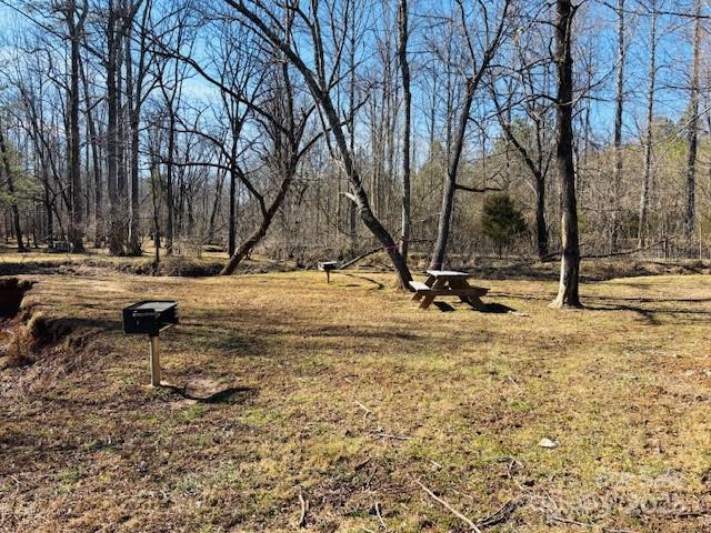 Clearwater Creek - Land