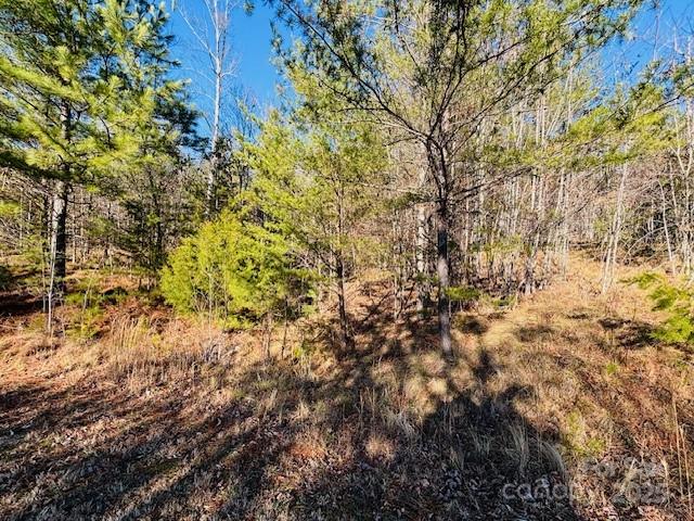 Clearwater Creek - Land