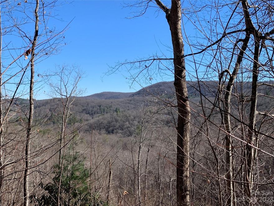 Beautiful wooded property located off Pleasant Grove Church Rd. Conveniently located between Brevard and Hendersonville, enjoy quick assess to DuPont State Forest, Pisgah National Forest, and the future Ecusta Trail.  Property has existing old logging road that accesses upper portion of the property for short range mountain views.  Proposed entrance to property off Pleasant Grove Church Rd will give an extremely private feel as you climb up over a knoll and then "settle" back down into the property.  Mountain "level" lower portion of the property makes for easier build sites or climb up higher for the better views. Soil Evaluation has been completed on the property showing soils are suitable for a 3 bedroom wastewater system.