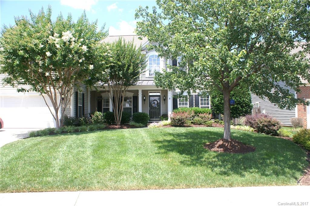 Chestnut - Residential