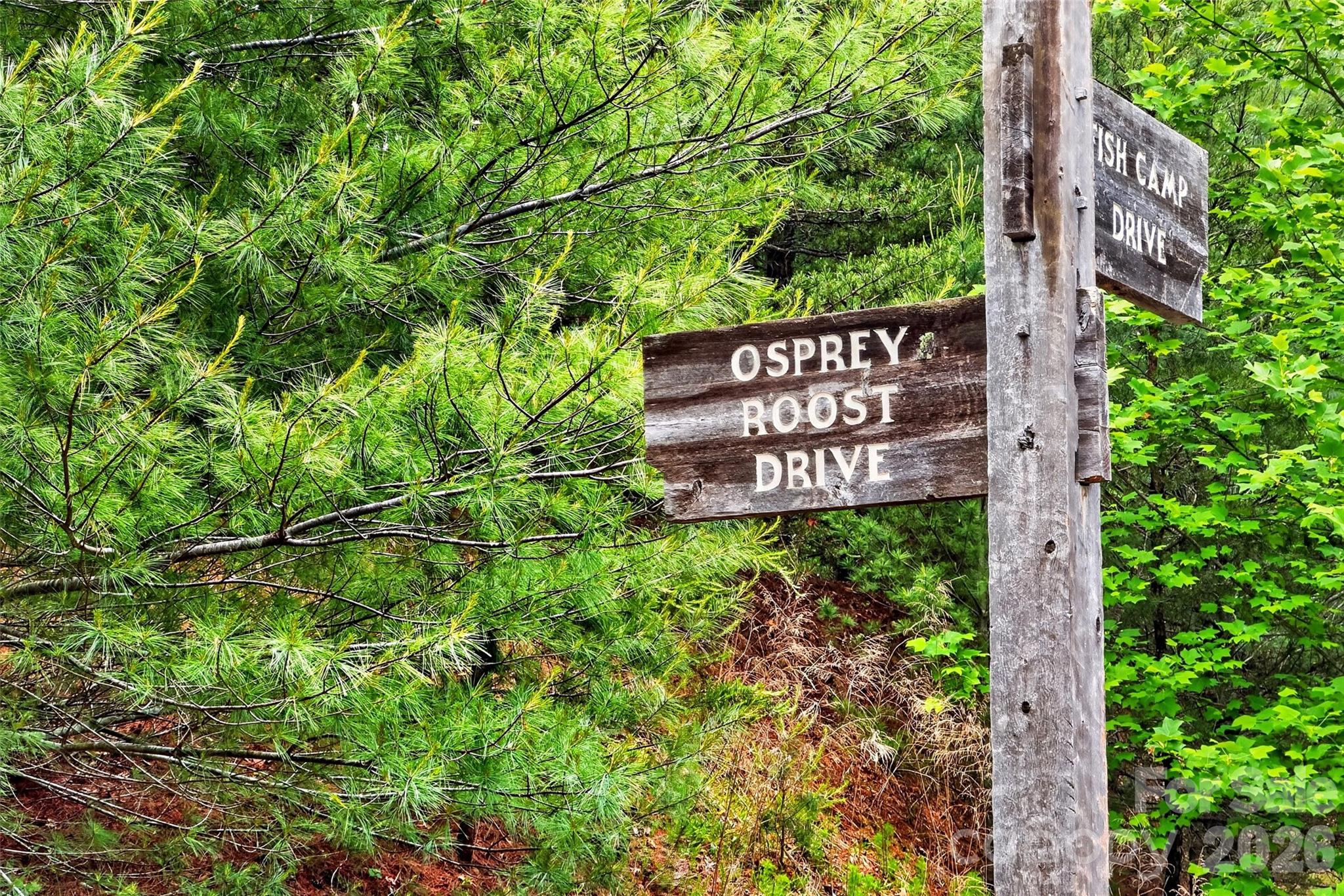 Old Wildlife Club - Residential