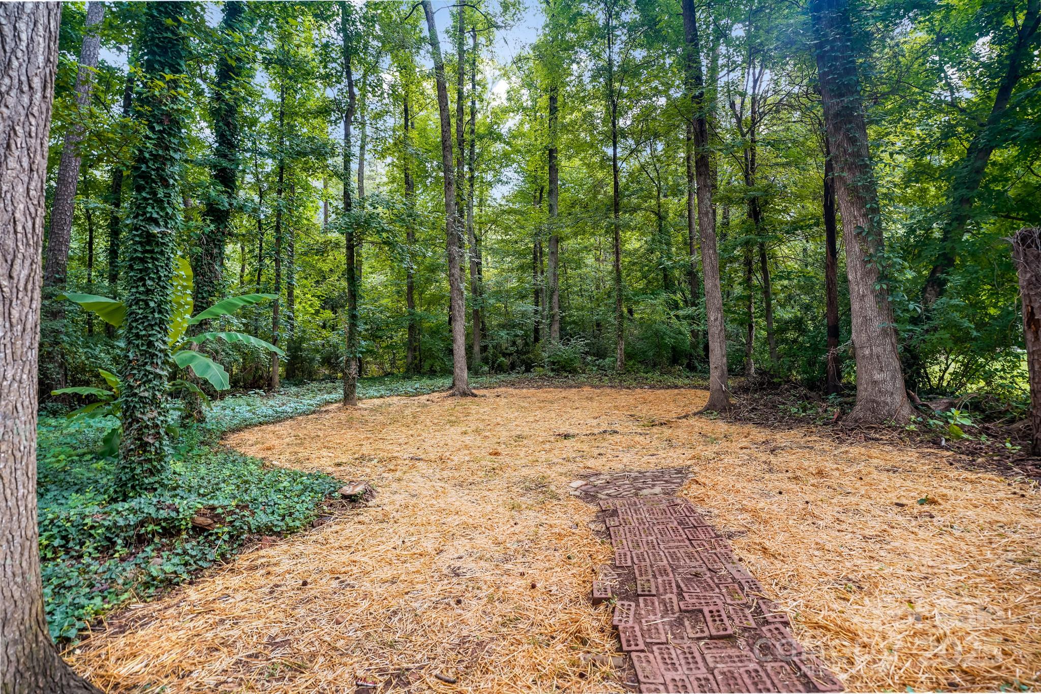 Lewis Forest - Residential