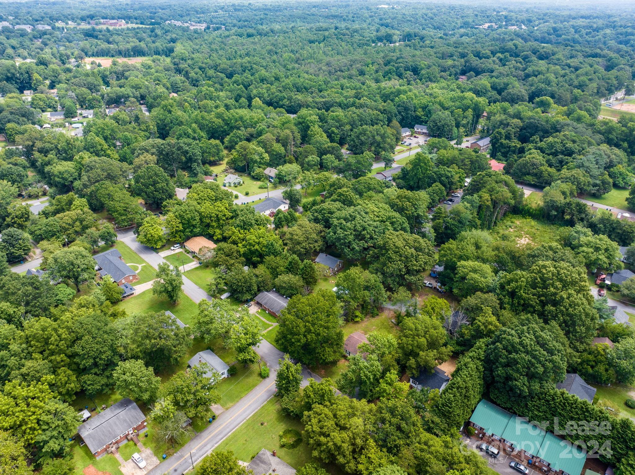 None - Residential Lease