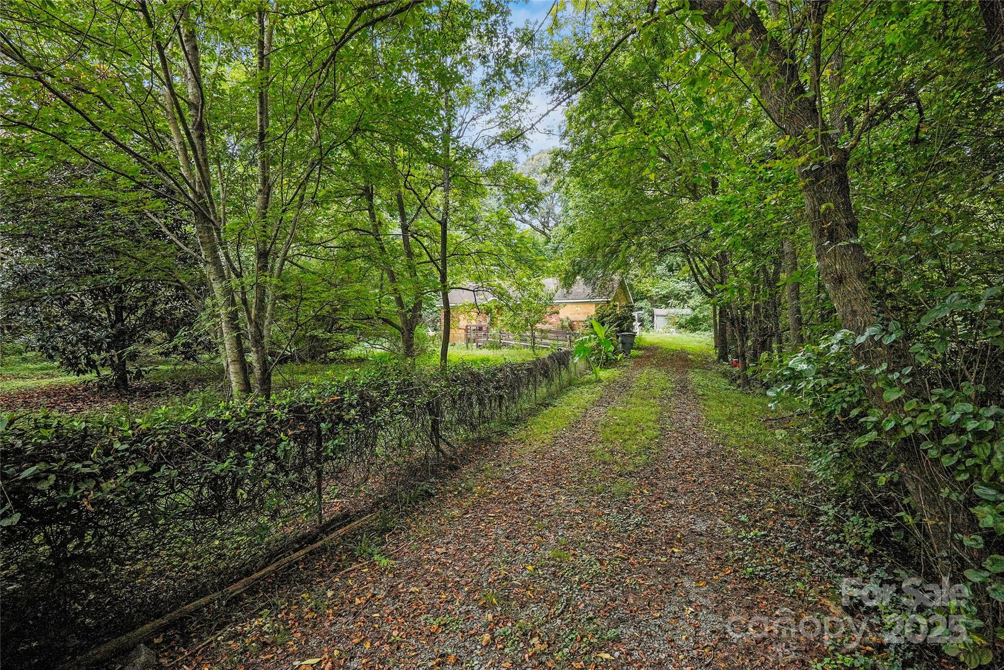 6109 Paw Creek Road